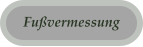 Fuvermessung
